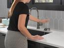 Delta Faucet Black Stainless Brass Glass Rinser 