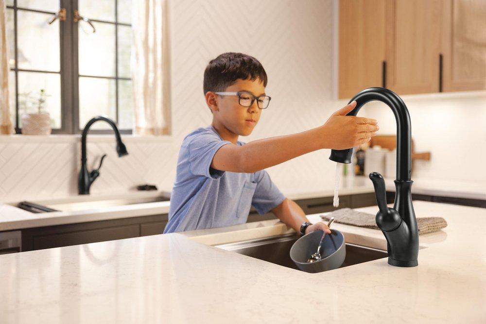 Delta Faucet Matte Black Glass Rinser 