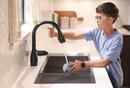 Delta Faucet Matte Black Glass Rinser 