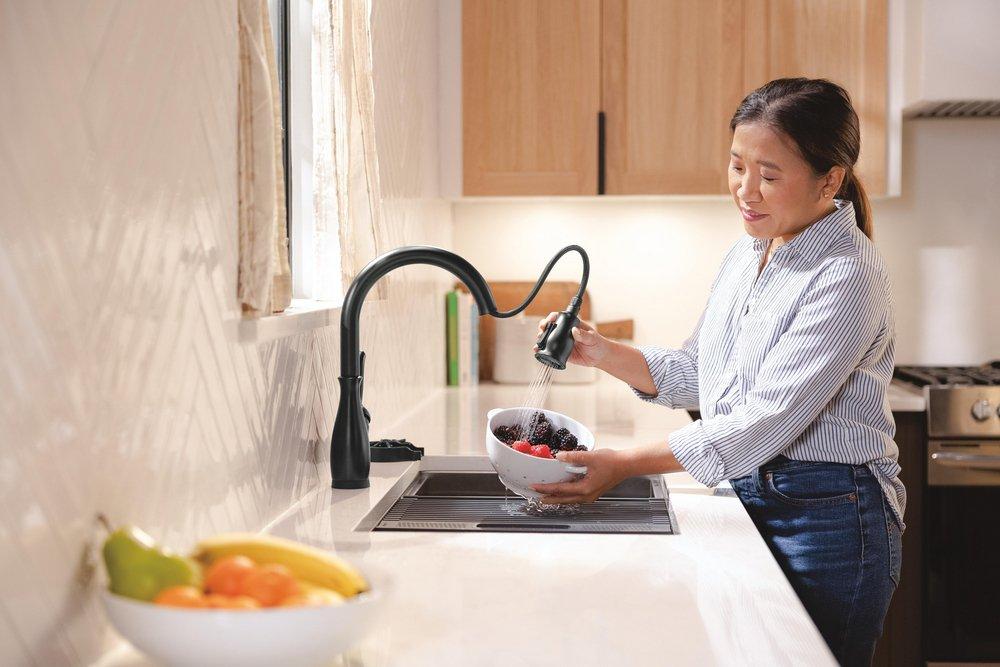 Delta Faucet Matte Black Glass Rinser 