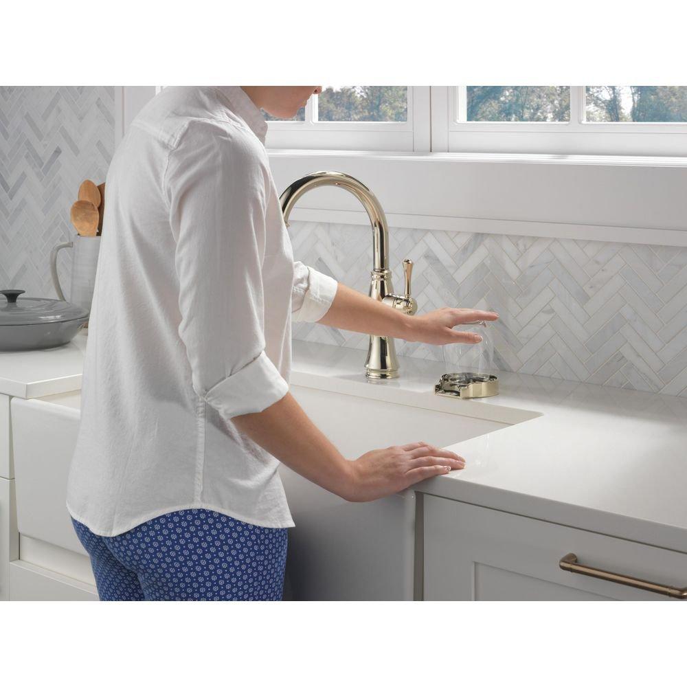 Delta Faucet Polished Nickel Brass Glass Rinser 