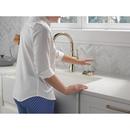 Delta Faucet Polished Nickel Brass Glass Rinser 