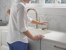 Delta Faucet Polished Nickel Glass Rinser 
