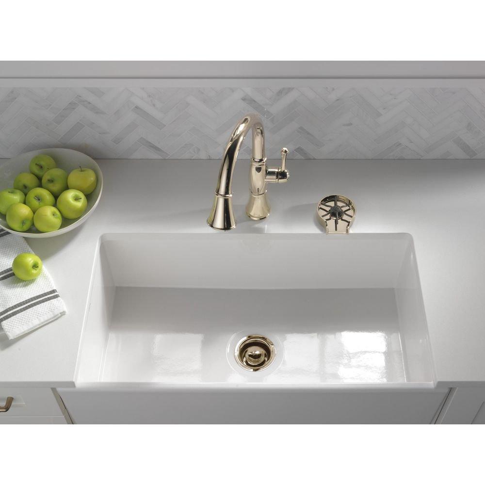 Delta Faucet Polished Nickel Brass Glass Rinser 
