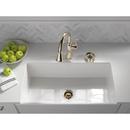 Delta Faucet Polished Nickel Brass Glass Rinser 