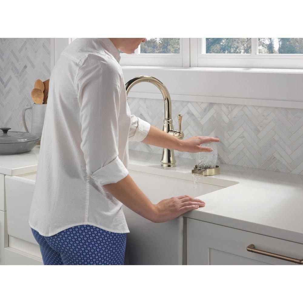 Delta Faucet Polished Nickel Brass Glass Rinser 