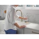 Delta Faucet Polished Nickel Brass Glass Rinser 