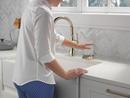 Delta Faucet Polished Nickel Glass Rinser 