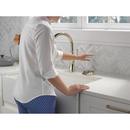 Delta Faucet Polished Nickel Brass Glass Rinser 