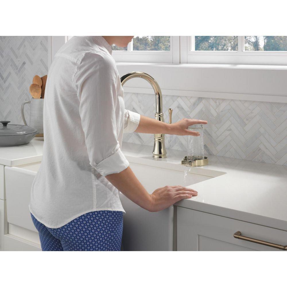 Delta Faucet Polished Nickel Brass Glass Rinser 