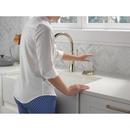 Delta Faucet Polished Nickel Brass Glass Rinser 