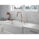 Delta Faucet Polished Nickel Brass Glass Rinser 