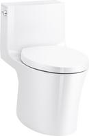 0.96 gpf/1.28 gpf Elongated Dual Flush One Piece Toilet in White