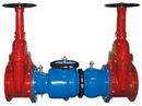 Zurn Wilkins Red Epoxy Coated Ductile Iron Flanged 175 psi Backflow Preventer 