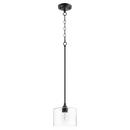 Quorum International Noir 8 in. 100W 1-Light Medium E-26 Incandescent Clear Seeded Glass Pendant 