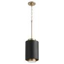 Quorum International Noir/Aged Brass 8 in. 100W 1-Light Medium E-26 Incandescent Pendant 