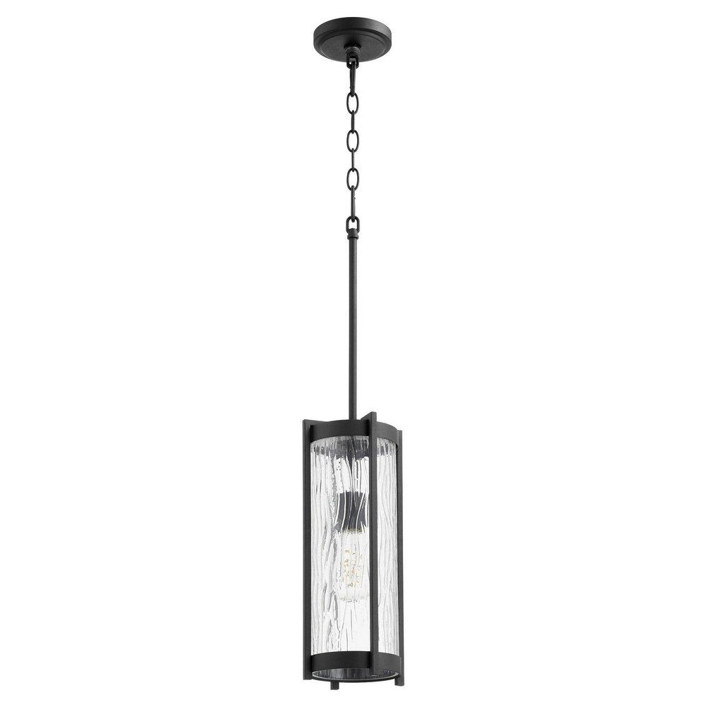 Quorum International Noir 6-1/2 in. 100W 1-Light Medium E-26 Incandescent Clear Glass Pendant 