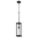 Quorum International Noir 6-1/2 in. 100W 1-Light Medium E-26 Incandescent Clear Glass Pendant 