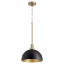 100W 1-Light Medium E-26 Clear Glass Pendant in Noir with Aged Brass