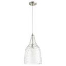 Quorum International Satin Nickel 10 in. 60W 1-Light Medium E-26 Incandescent Clear Glass Pendant 