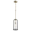 6-1/4 in. 100W 1-Light Medium E-26 Incandescent Clear Glass Pendant in Noir with Aged Brass