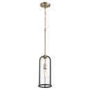 Quorum International Noir/Aged Brass 6-1/4 in. 100W 1-Light Medium E-26 Incandescent Clear Glass Pendant 