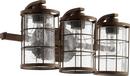 Quorum International Oiled Bronze 100W 3-Light Medium E-26 Vanity Fixture 