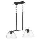 Quorum International Noir 100W 2-Light Medium E-26 Incandescent Clear Seeded Glass Island Light 