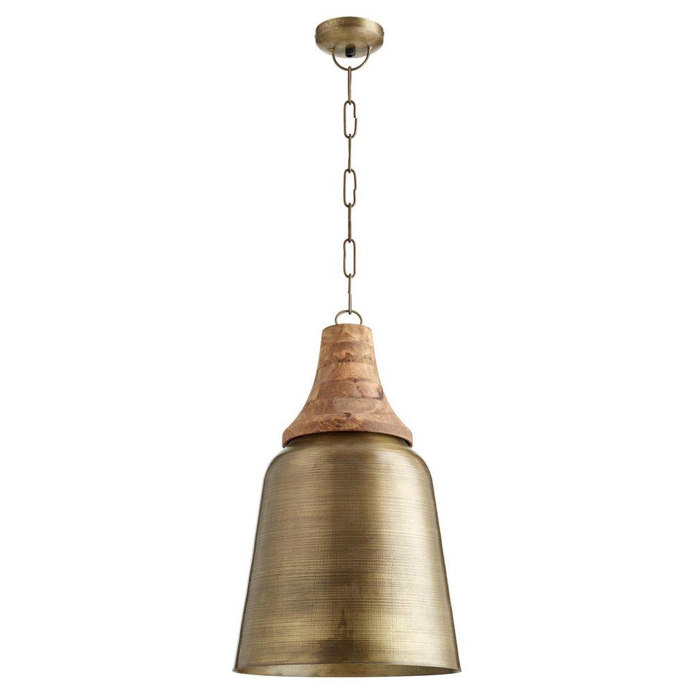 Quorum International Artisan Brass 13-1/4 in. 40W 1-Light Medium E-26 Pendant 