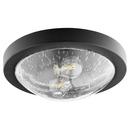Quorum International Noir 40W 2-Light Medium E-26 Flush Mount Ceiling Fixture 