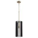Quorum International Aged Brass 8 in. 100W 1-Light Medium E-26 Incandescent Pendant 
