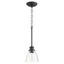 6 in. 100W 1-Light Medium E-26 Incandescent Clear Seeded Glass Pendant in Noir