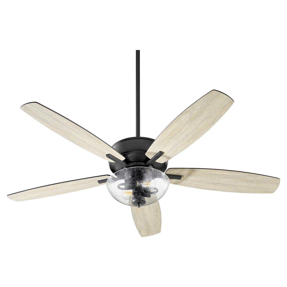 Quorum International Noir 66W 2-Light 5-Blade Medium E-26 LED Ceiling Fan 