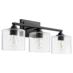 100W 3-Light Medium E-26 Vanity Fixture in Noir