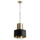 12 in. 100W 1-Light Medium E-26 Incandescent Pendant in Noir with Aged Brass