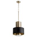 Quorum International Noir/Aged Brass 12 in. 100W 1-Light Medium E-26 Incandescent Pendant 