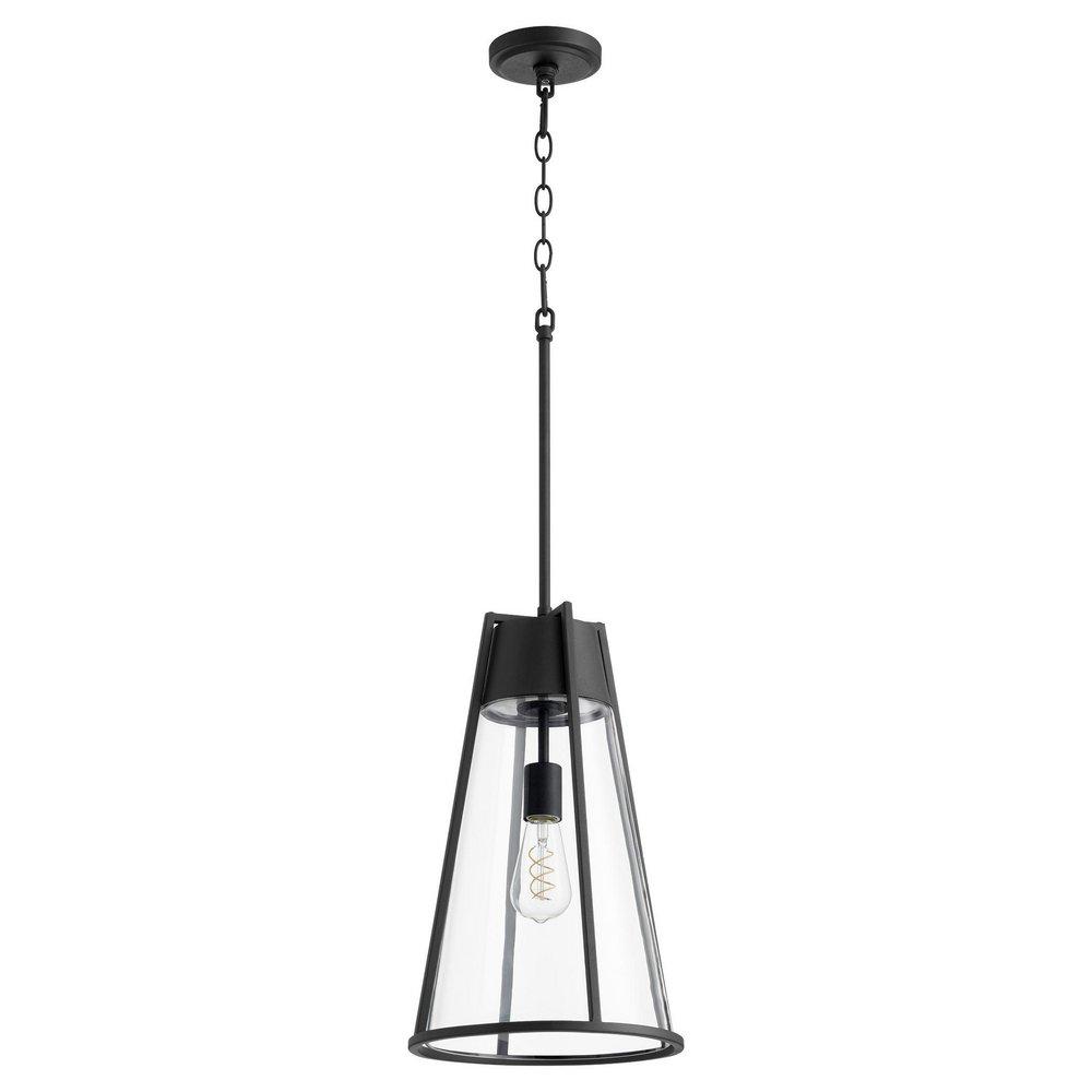 Quorum International Noir 11 in. 100W 1-Light Medium E-26 Incandescent Clear Glass Pendant 