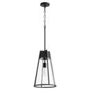 Quorum International Noir 11 in. 100W 1-Light Medium E-26 Incandescent Clear Glass Pendant 