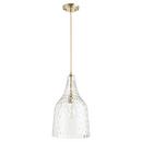 Quorum International Aged Brass 10 in. 60W 1-Light Medium E-26 Incandescent Clear Glass Pendant 