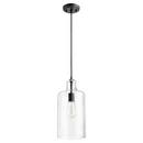 Quorum International Noir 7 in. 60W 1-Light Medium E-26 Incandescent Clear Glass Pendant 