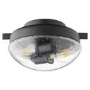 12W 2-Light Medium E-26 LED Ceiling Fan Light in Noir