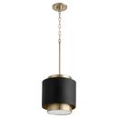 Quorum International Noir/Aged Brass 10-1/2 in. 100W 1-Light Medium E-26 Incandescent Pendant 