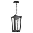 Quorum International Noir 60W 1-Light Medium E-26 Incandescent Outdoor Pendant 