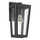 60W 1-Light 12-13/100 in. Outdoor Wall Sconce in Black