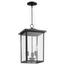 Quorum International Noir 60W 3-Light Medium E-26 Incandescent Outdoor Pendant 
