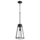 Quorum International Noir 9 in. 100W 1-Light Medium E-26 Incandescent Clear Glass Pendant 