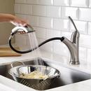 Pfister Stainless Steel Single Handle Pull Out Kitchen Faucet 