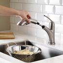 Pfister Stainless Steel Single Handle Pull Out Kitchen Faucet 