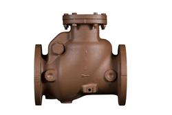 4 in. Cast Iron Flanged Check Valve
