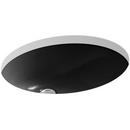 KOHLER Black Black Undermount Basin 